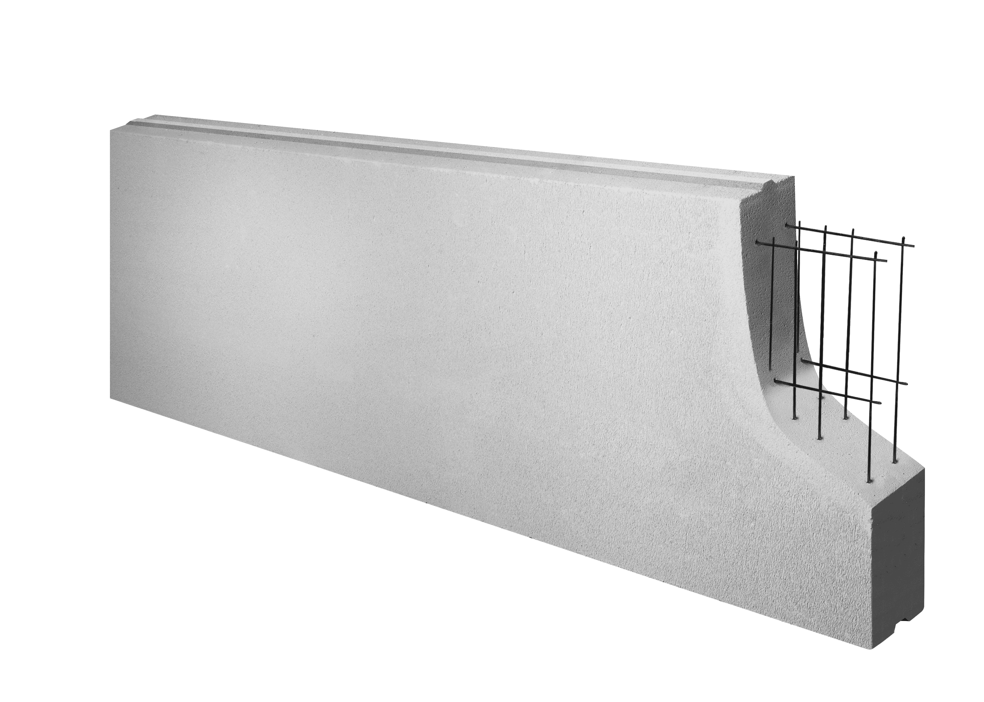 PowerPanel+